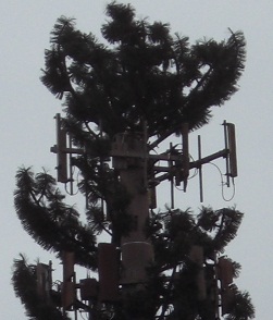 disguised cell tower